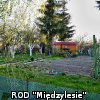 Ogródki działkowe kwiecień 2016