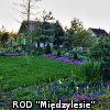 Ogródki działkowe kwiecień 2016