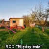 Ogródki działkowe kwiecień 2016