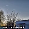 Ogródki działkowe kwiecień 2016