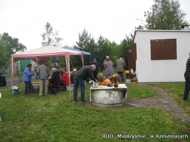 Dzień działkowca 2017