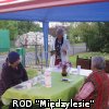 Dzień działkowca 2017