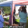 Dzień działkowca 2017