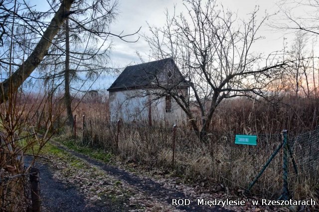 Działka nr 298